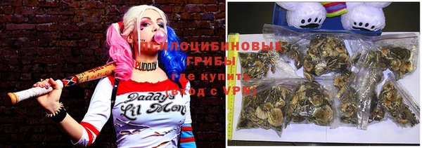 крисы Алзамай