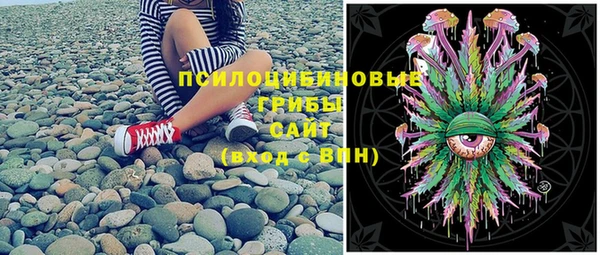 крисы Алзамай